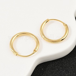 Brass Hoop Earrings&nbsp;EJEW-F378-02G
