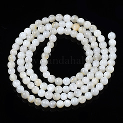 Natural Freshwater Shell Beads Strands&nbsp;BSHE-T009A-01A