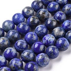 Natural Lapis Lazuli Beads Strands&nbsp;G-E483-17-10mm