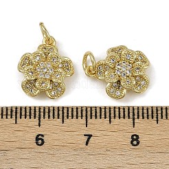Brass Micro Pave Cubic Zirconia Pendants&nbsp;KK-I358-063G-F