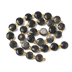 Natural Silver Sheen Obsidian Beads Strands&nbsp;G-G271-C08-10mm