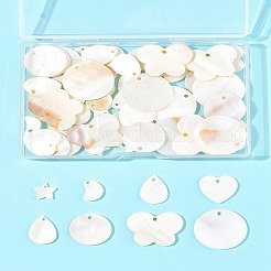 56Pcs 7 Styles Freshwater Shell Pendants&nbsp;SHEL-FS0001-07