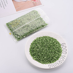 Plated Glass Bugle Beads&nbsp;SEED-S046-01B-49A
