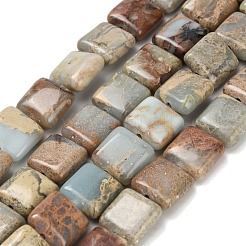 Natural Aqua Terra Jasper Beads Strands&nbsp;G-Z110-H01-10x10mm