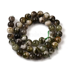 Natural Lepidolite Beads Strands&nbsp;G-F799-B01-9mm