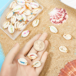 30Pcs Natural Cowrie Shell Pendants&nbsp;SHEL-SC0001-43