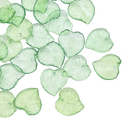 Transparent Acrylic Pendants&nbsp;DBLA410-10