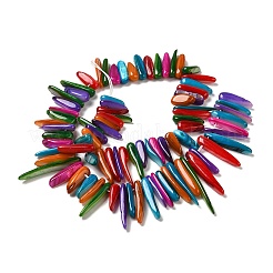 Natural Freshwater Shell Beads Strands&nbsp;SHEL-K006-40