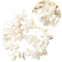 1 Strand Dyed Natural Trochus Shell Beads Strands&nbsp;SSHEL-PA0001-01B