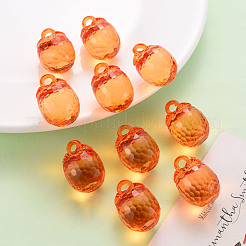 Autumn Theme Transparent Acrylic Pendants&nbsp;TACR-T024-04B-921