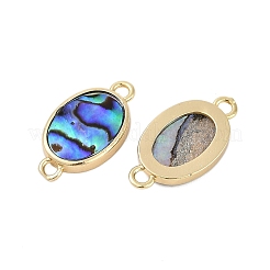 Brass Pave Natural Paua Shell Connector Charms&nbsp;KK-M299-01E-G