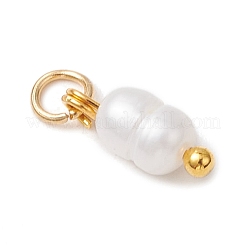 Natural Cultured Freshwater Pearl Potato Charms with Brass Jump Rings&nbsp;PALLOY-JF04176-01