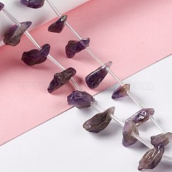 Natural Amethyst Beads Strands&nbsp;G-I329-02