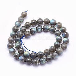 Natural Labradorite Beads Strands&nbsp;G-O166-08-10mm