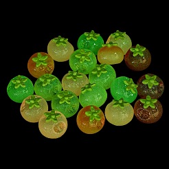 Luminous Resin Imitation Vegetable Cabochons&nbsp;RE-CBA8643-01