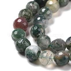 Natural Indian Agate Beads Strands&nbsp;G-E571-24B