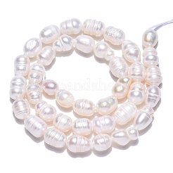 Natural Cultured Freshwater Pearl Beads Strands&nbsp;PEAR-N012-06R