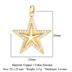 Brass Micro Pave Clear Cubic Zirconia Pendants&nbsp;ZIRC-OY001-11G