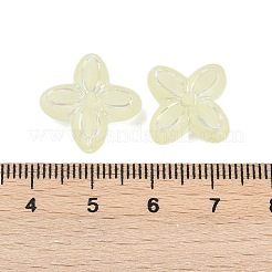 Frosted Transparent Acrylic Beads&nbsp;OACR-P029-09B-03
