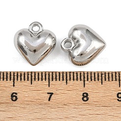 304 Stainless Steel Charms&nbsp;STAS-L303-13P