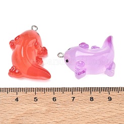 Resin Pendants&nbsp;RE-CBA14F0-09