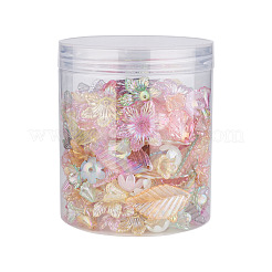 300Pcs 6 Style Transparent Acrylic Bead Caps&nbsp;TACR-CD0001-03