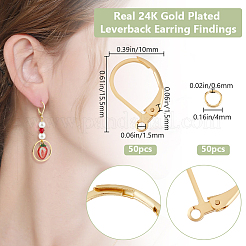 50Pcs 304 Stainless Steel Leverback Earring Findings&nbsp;FIND-BBC0003-16