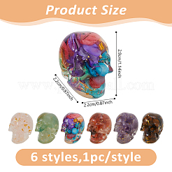 6Pcs 6 Styles Resin Skull Display Decoration&nbsp;DJEW-DC0001-15