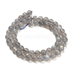 Natural Labradorite Beads Strands&nbsp;G-G448-7.5mm-04