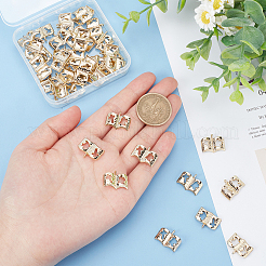 50Pcs Alloy Charms&nbsp;FIND-DC0001-87