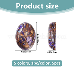5Pcs 5 Styles Natural Lapis Lazuli & Synthetic Imperial Jasper and Bronzite Cabochons&nbsp;G-FH0002-70