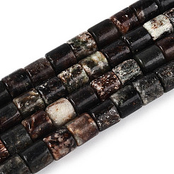 Natural Biotite Beads Strands&nbsp;G-T141-88A