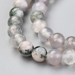 Natural Tree Agate Beads Strands&nbsp;G-I199-03-6mm