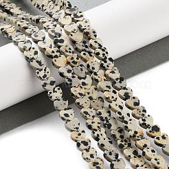 Natural Dalmatian Jasper Beads Strands&nbsp;G-M403-A31-02