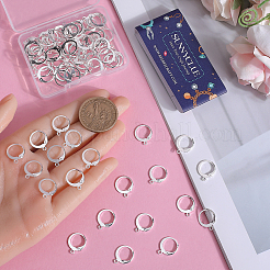 80Pcs 304 Stainless Steel Leverback Earring Findings&nbsp;STAS-SC0006-42