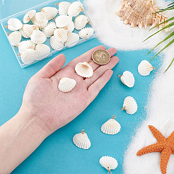 30Pcs Natural Shell Pendants&nbsp;PALLOY-PH01844
