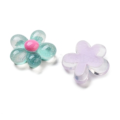 Translucent Resin Decoden Cabochons&nbsp;RESI-B027-01
