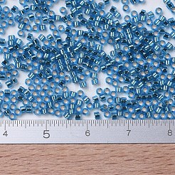 MIYUKI Delica Beads&nbsp;SEED-JP0008-DB0149