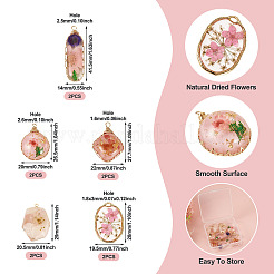 10Pcs 5 Styles Epoxy Resin Pendants&nbsp;FIND-TA0008-91
