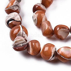 Natural Trochid Shell/Trochus Shell Beads Strands&nbsp;SSHEL-N032-48-A07