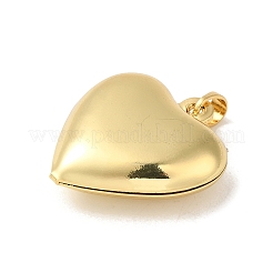 Rack Plating Brass Pendant&nbsp;KK-S366-12G-02