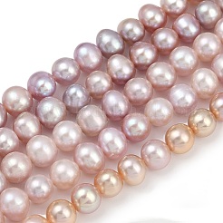 Natural Cultured Freshwater Pearl Beads Strands&nbsp;PEAR-I007-07X-05C