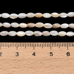 Natural Freshwater Shell Beads Strands&nbsp;SHEL-C010-03A
