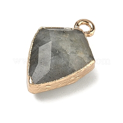 Natural Labradorite Pendants&nbsp;G-K422-01G-14