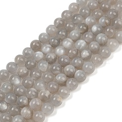 Natural Grey Moonstone Beads Strands&nbsp;G-G206-A01-6mm