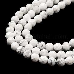 Natural Howlite Beads Strands&nbsp;G-E608-A01-C