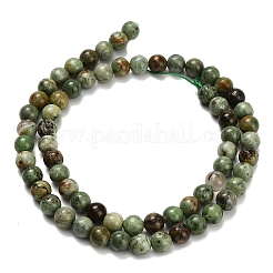 Natural Green Opal Beads Strands&nbsp;G-L642-B14-6mm