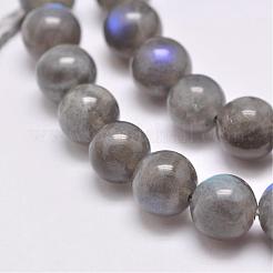 Natural Labradorite Beads Strands&nbsp;G-D864-11-6mm