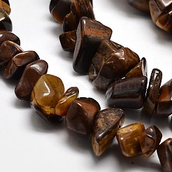 Chip Natural Tiger Eye Beads Strands&nbsp;X-G-N0134-09