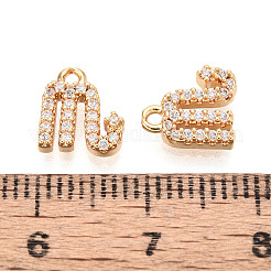 Brass Micro Pave Cubic Zirconia Charms&nbsp;KK-N263-148A-G